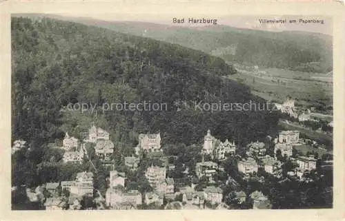 AK / Ansichtskarte  BAD HARZBURG Villenviertel am Papanberg