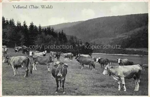 AK / Ansichtskarte  Vessertal Schleusingen Thueringen Panorama mit Rinderherde