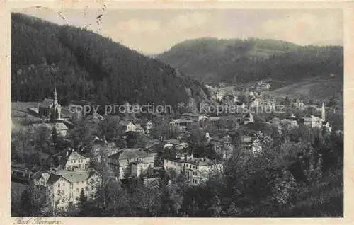 AK / Ansichtskarte  Bad Reinerz Niederschlesien Duszniki-Zdroj PL Panorama