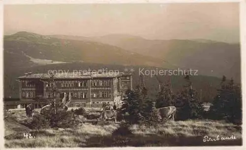 AK / Ansichtskarte  Peterbaude Petrova Bouda Spindleruv Mlyn CZ Panorama