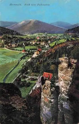 AK / Ansichtskarte  Herrenalb BAD HERRENALB Blick vom Falkenstein