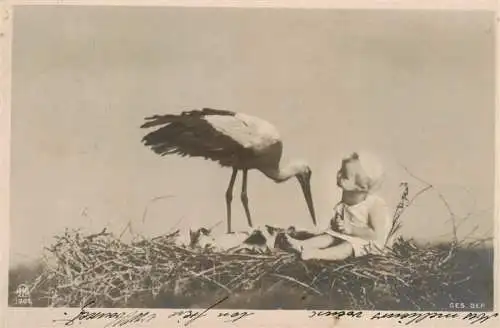 AK / Ansichtskarte  Foto NPG Nr. 1901 Baby Storch