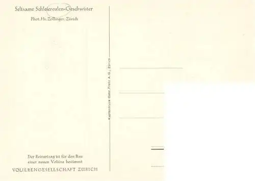 AK / Ansichtskarte  Eule Owl Hibou Chouette-- Schleiereulen 