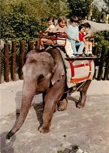 AK / Ansichtskarte  Elefant Knie Kinderzoo Rapperswil Schweiz 