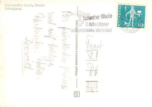 AK / Ansichtskarte  Zoo Gardin Zoologique-- Zuerich Schimpansen 