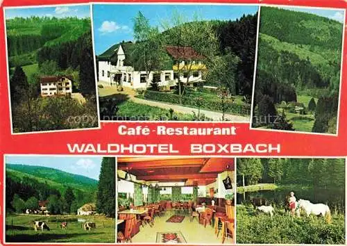 AK / Ansichtskarte  Breidenbach Biedenkopf Café Restaurant Waldhotel Boxbach Landschaftspanorama Viehweide Ponys