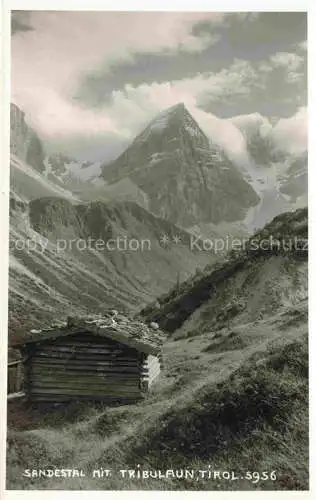 AK / Ansichtskarte  Sandestal Brenner Brennero Suedtirol IT Panorama Blick gegen Tribulaun Stubaier Alpen