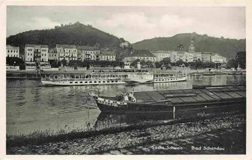 AK / Ansichtskarte  Bad Schandau Saechsische Schweiz-Osterzgebirge Blick ueber die Elbe zum Ort Binnenschiffahrt Dampfer