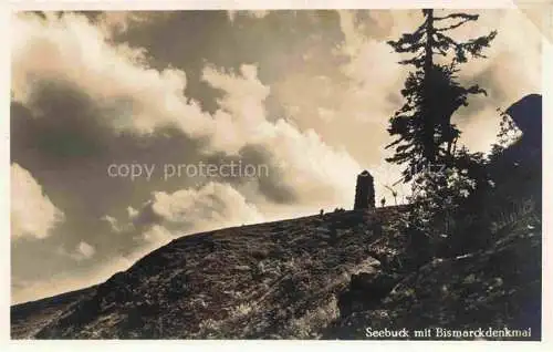 AK / Ansichtskarte  Feldberg 1450m Schwarzwald Bismarckdenkmal auf dem Seebuck