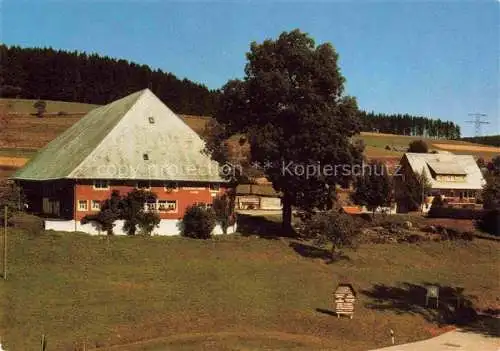 AK / Ansichtskarte  Saig Schwarzwald Neubauernhof mit Gaestehaus