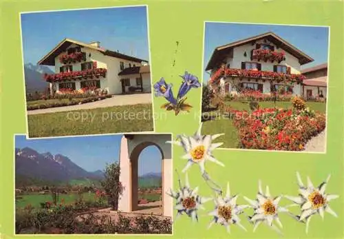 AK / Ansichtskarte  Inzell Oberegger Hof Panorama Alpen Edelweiss