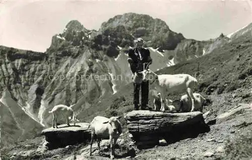 AK / Ansichtskarte  Ziege Goat Chevre-- Kandersteg Idyll Allmenalp Lohner