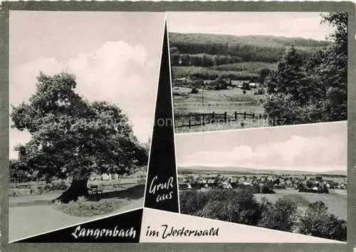 AK / Ansichtskarte  Langenbach Kirburg Westerwaldkreis Alter Baum Panorama