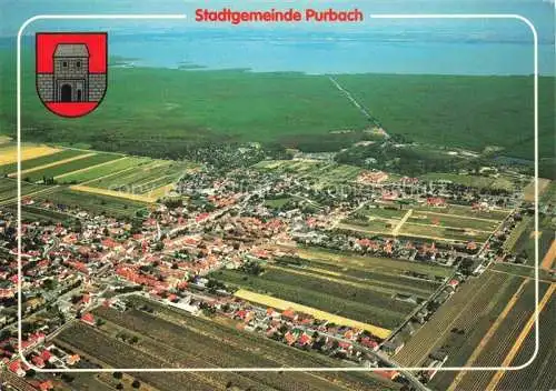 AK / Ansichtskarte  Purbach Neusiedler See Fliegeraufnahme