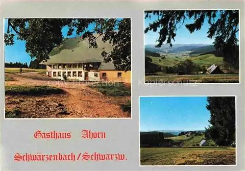 AK / Ansichtskarte  Schwaerzenbach Titisee-Neustadt Gasthaus Ahorn Panorama