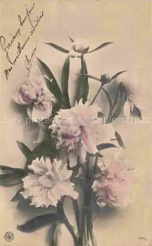 AK / Ansichtskarte  Foto NPG Nr. 335/10 Blumen Rosen 