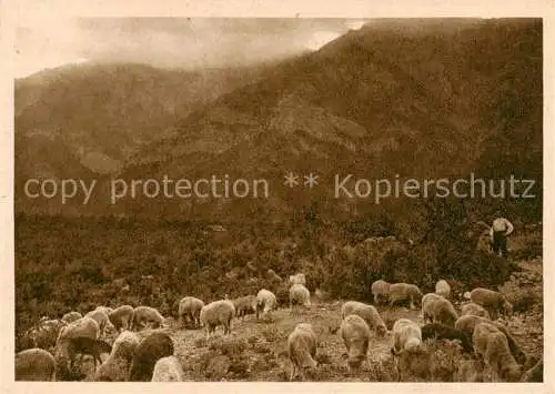 AK / Ansichtskarte  Krim Crimea Abend in Bergen Schaefer 