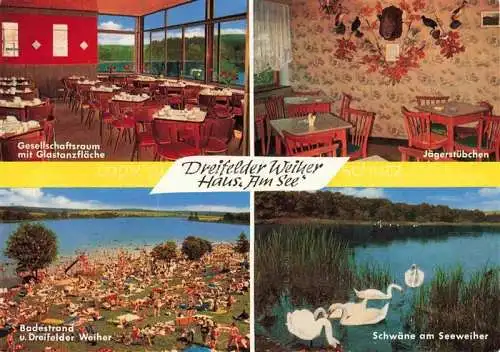 AK / Ansichtskarte  Schmidthahn Dreifelder Weiher Haus am See Gaststaette Badestrand Schwaene