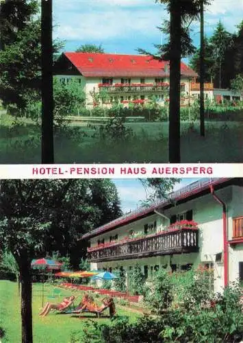 AK / Ansichtskarte  Haidmuehle Freyung-Grafenau Bayern Hotel Pension Haus Auersperg Garten