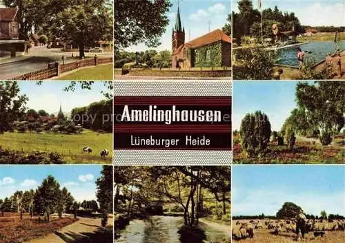 AK / Ansichtskarte  Amelinghausen Lueneburger Heide Teilansichten Kirche Freibad Landschaftspanorama Schafherde