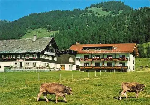 AK / Ansichtskarte  Balderschwang Pension Laesser