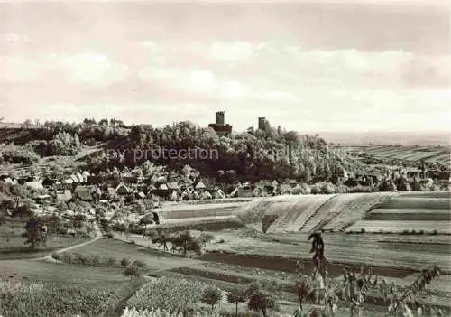 AK / Ansichtskarte  Neipperg Brackenheim Heilbronn BW Gasthaus zur Rose Panorama