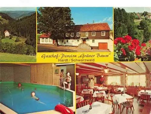 AK / Ansichtskarte  Hardt Schramberg Gasthof Pension Gruener Baum Hallenbad Gastraum