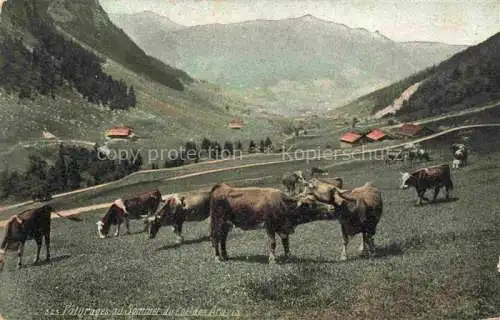 AK / Ansichtskarte  Kuehe Col des aravis