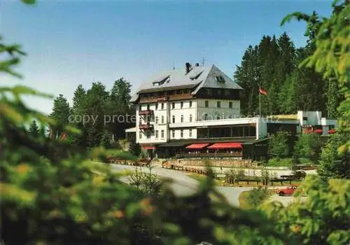 AK / Ansichtskarte Notschrei Todtnau Waldhotel am Notschrei Schwarzwald