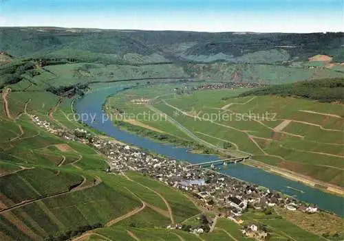 AK / Ansichtskarte Reil Mosel Panorama Moseltal