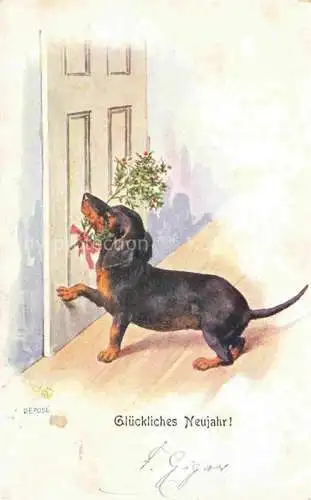 AK / Ansichtskarte Dackel Dachshund Teckel Hunde dogs Chiens Cani Neujahr