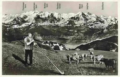 AK / Ansichtskarte Alphorn Cor des Alpes-- Pilatus Kulm Jos Kuster Kuehe 