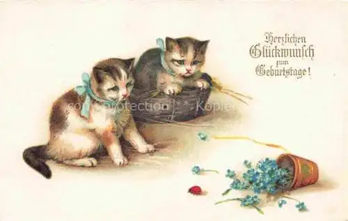 AK / Ansichtskarte Foto Amag Nr. 2554 Geburtstag Marienkaefer Katzen