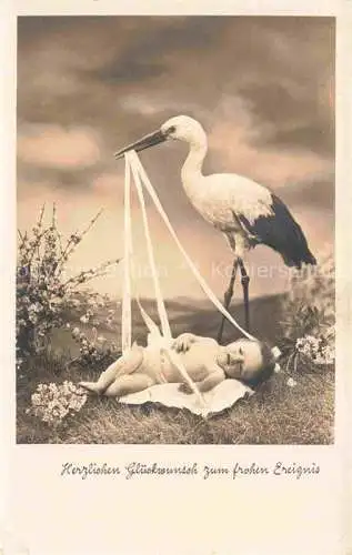 AK / Ansichtskarte Foto Amag Nr. 67720/2 Stroch Cigogne Baby Vogel