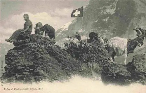 AK / Ansichtskarte Ziege Goat Chevre-- Kind Berg Schweiz 