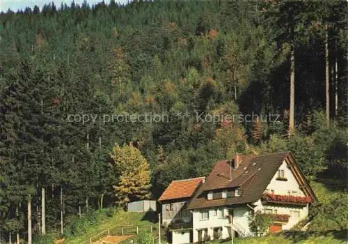 AK / Ansichtskarte BAD RIPPOLDSAU-SCHAPBACH Gaestehaus Haus Franz Schmid am Waldrand