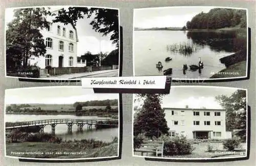 AK / Ansichtskarte Reinfeld Holstein Kurheim Partie am Herrenteich Promenade Bruecke Holsteinhof Karpfenstadt