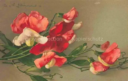 AK / Ansichtskarte Klein_Catharina_Kuenstlerlitho Mohnblume  