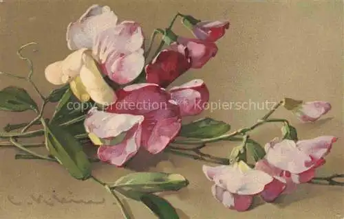 AK / Ansichtskarte Klein_Catharina_Kuenstlerlitho Mohnblume Rosa  