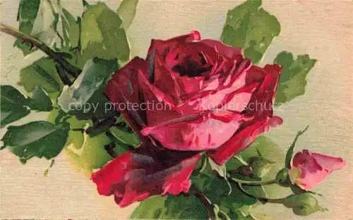 AK / Ansichtskarte Klein_Catharina_Kuenstlerlitho Rose Rot 