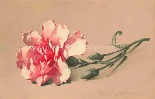 AK / Ansichtskarte Klein_Catharina_Kuenstlerlitho Nelken  