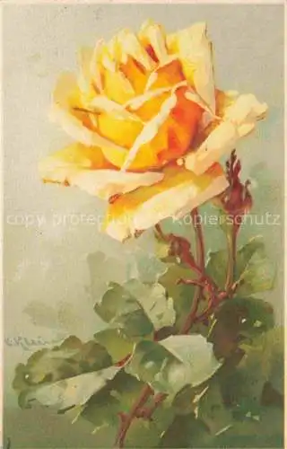 AK / Ansichtskarte Klein_Catharina_Kuenstlerlitho Rosen Gelb  