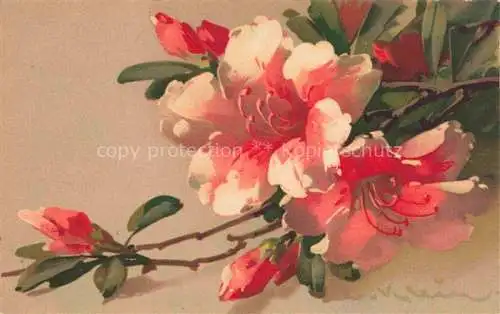 AK / Ansichtskarte Klein_Catharina_Kuenstlerlitho Baumblueten  