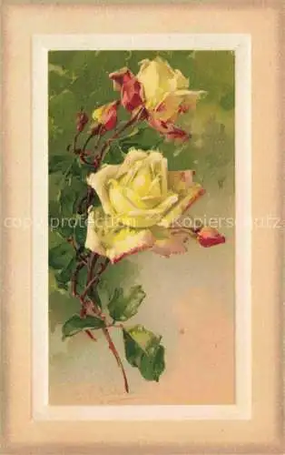 AK / Ansichtskarte Klein_Catharina_Kuenstlerlitho Rosen Gelb 