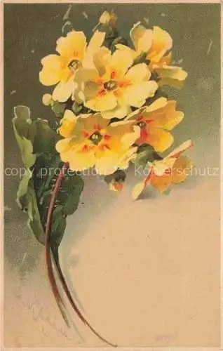 AK / Ansichtskarte Klein_Catharina_Kuenstlerlitho Blumen 