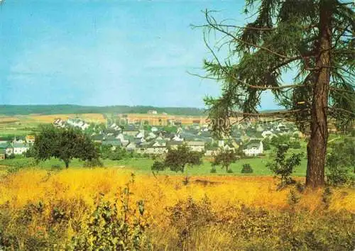 AK / Ansichtskarte Dachsenhausen Panorama