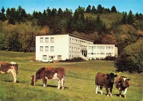 AK / Ansichtskarte Rehe Westerwald Rheinland-Pfalz Stiftung Christliches Erholungsheim Westerwald