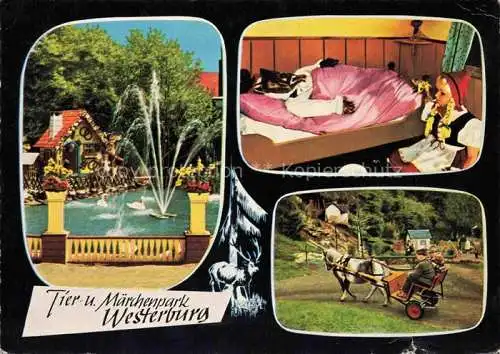 AK / Ansichtskarte Westerburg  Westerwald Rheinland-Pfalz Tier und Maerchenpark Springbrunnen Rotkaeppchen Ponykutsche