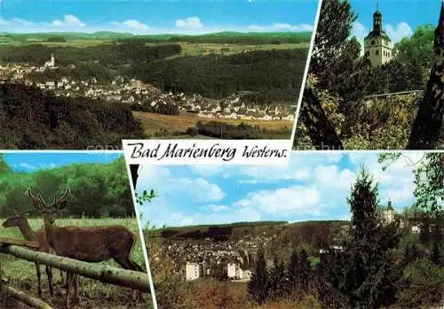 AK / Ansichtskarte Bad Marienberg Panorama Kirche Rehe 