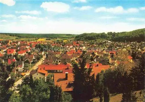 AK / Ansichtskarte Bolheim Stadtpanorama